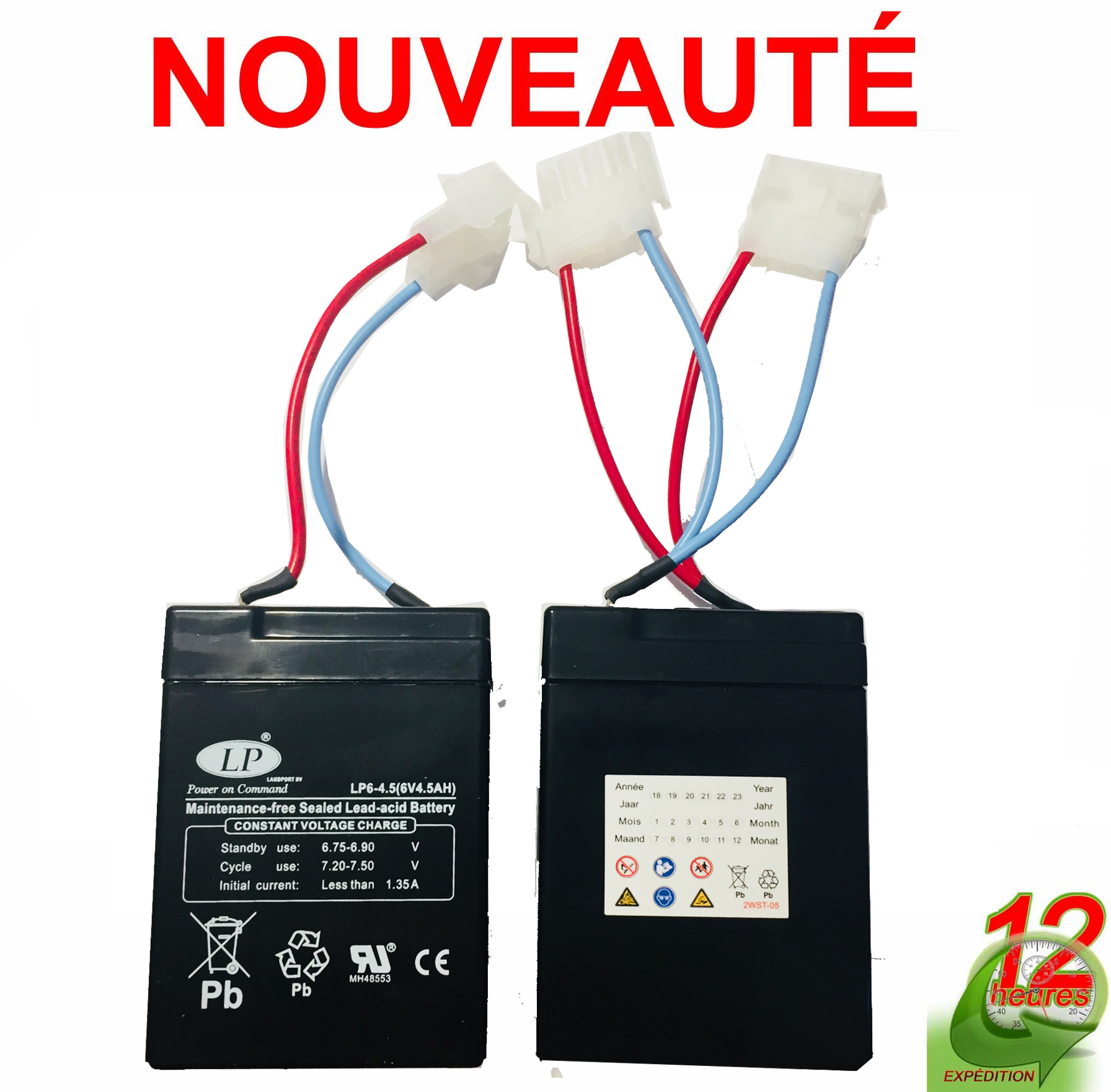 CHARGEUR DE BATTERIE 6 V POUR ANATEC