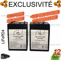 batterie-lifepo4-6v-4.5a2